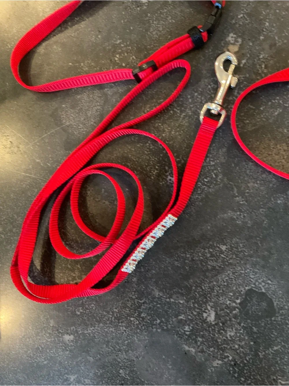 Bright Red Nylon Cat Harness and Leash Set
